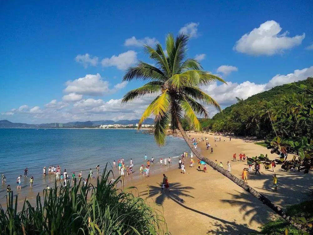 海南，绿色转型之路，典范还是牺牲品？